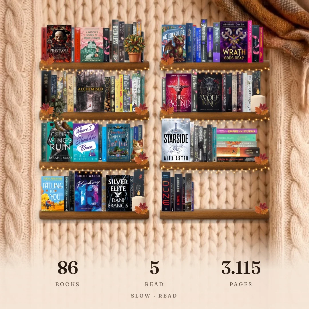 A SlowRead shelf of real books, with fairy lights, a cat, a plant and autumn leaves